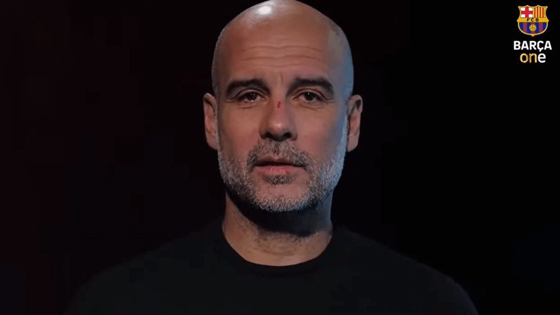 guardiola_1png_001.png
