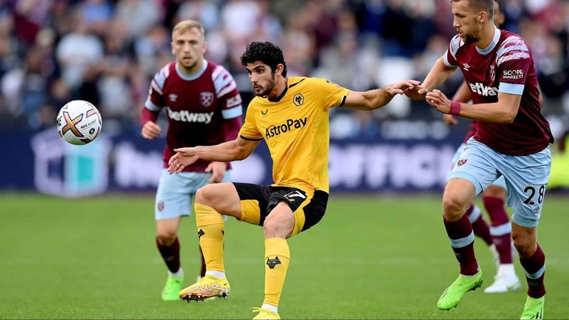 guedes_con_el_wolverhampton_001.jpeg guedes_con_el_wolverhampton_001.jpeg