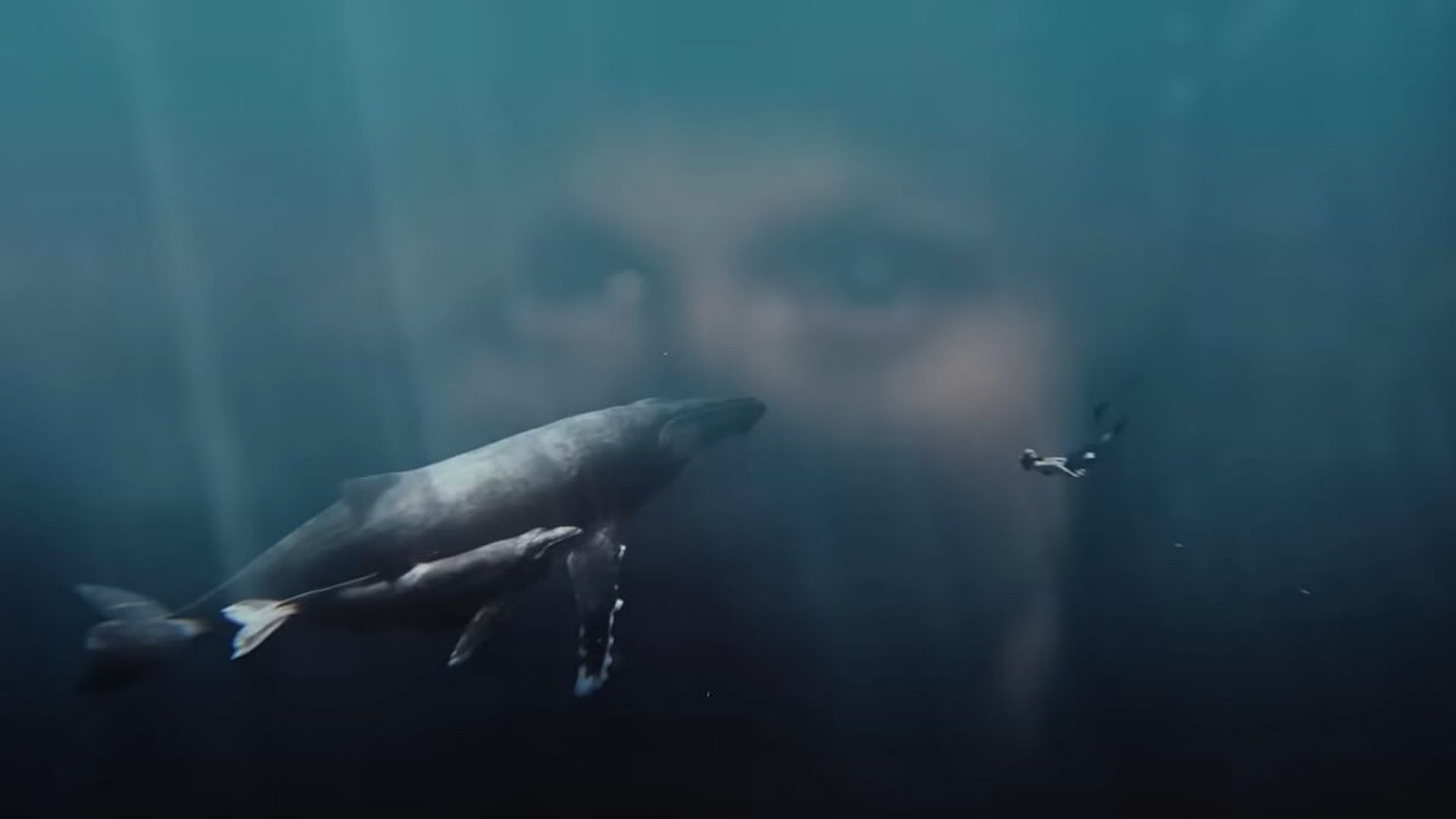 gwendoline_christie.jpg gwendoline_christie.jpg