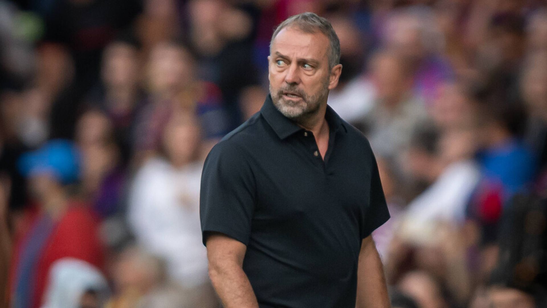 hansi_2jpg_001.jpg hansi_2jpg_001.jpg