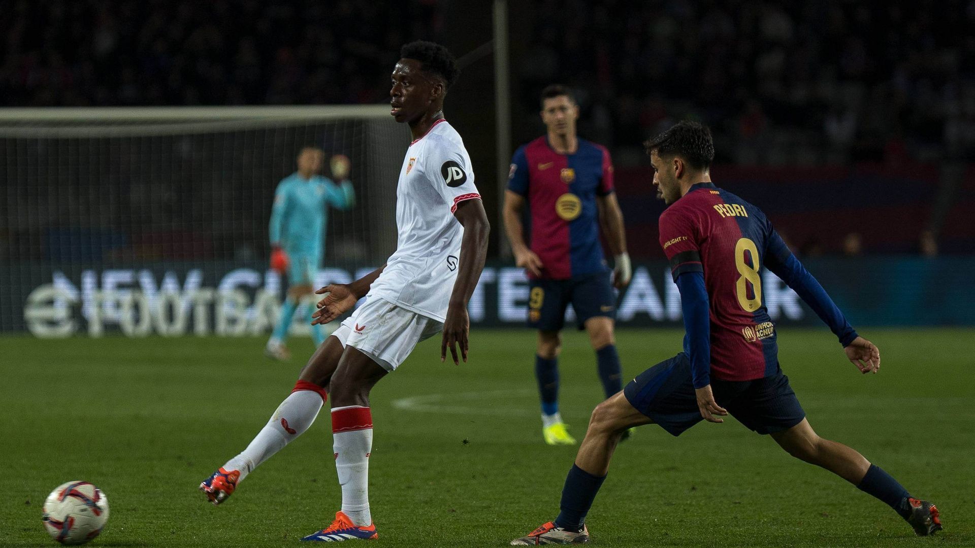 _iho9795jpg.jpg _iho9795jpg.jpg