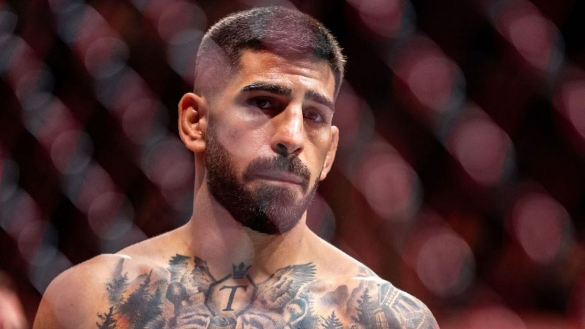 ilia_topuria_en_uno_de_sus_comabtes__iliatopuria_001.jpg ilia_topuria_en_uno_de_sus_comabtes__iliatopuria_001.jpg