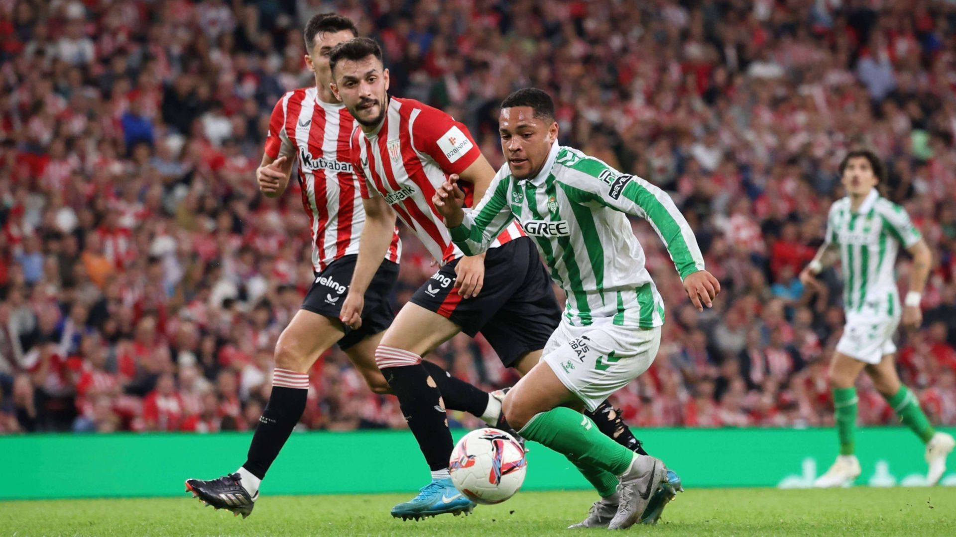 img_2119_001.jpg img_2119_001.jpg