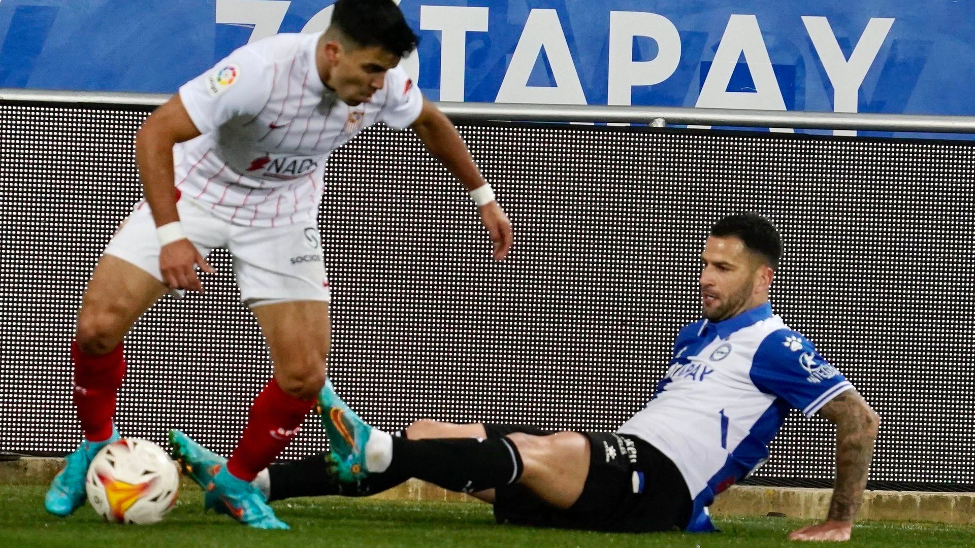 img_2440jpg.jpg img_2440jpg.jpg