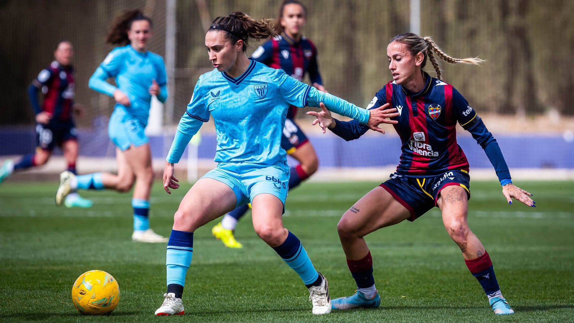 img_3046.JPG img_3046.JPG