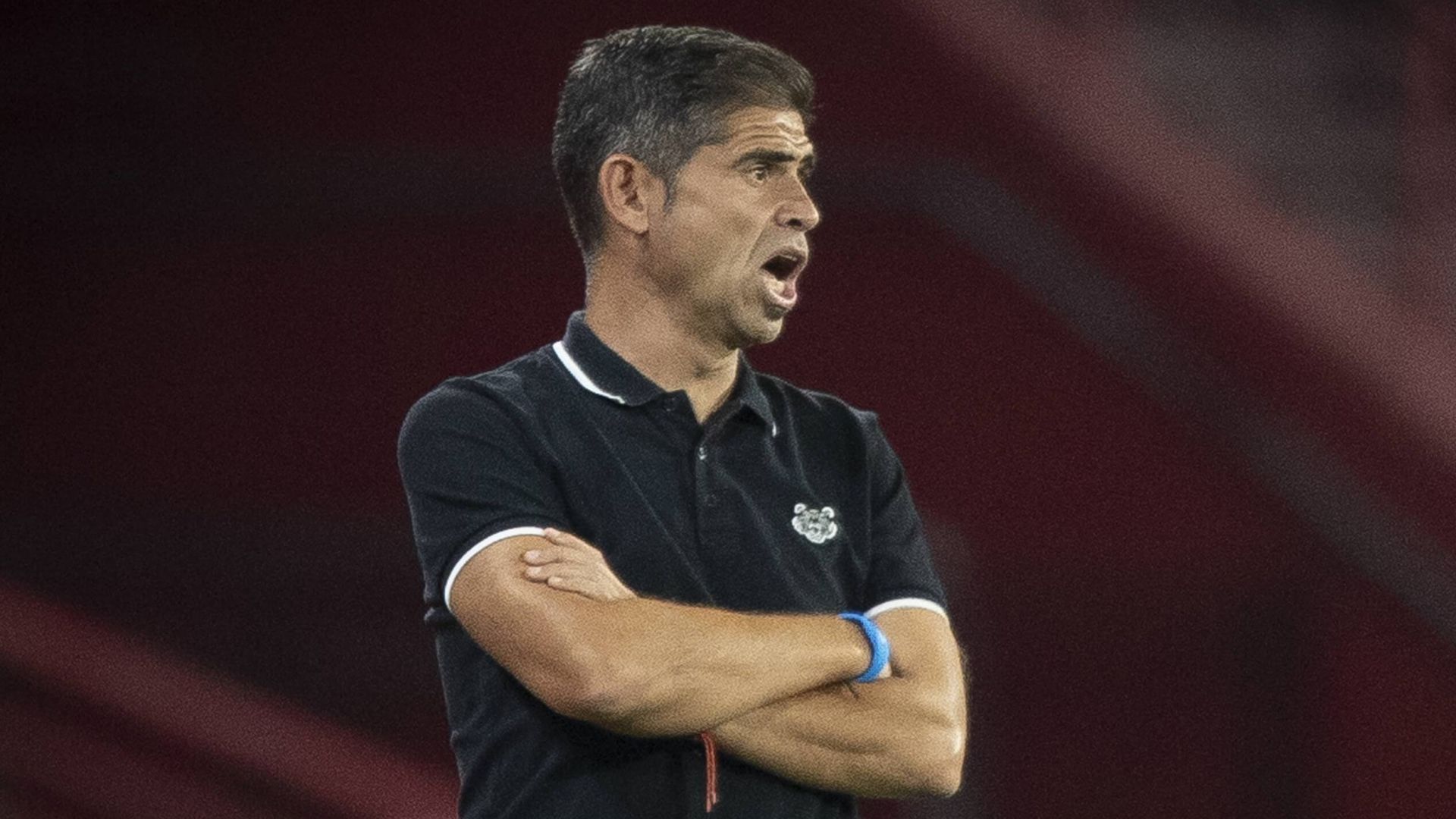 img_3224jpg.jpg img_3224jpg.jpg