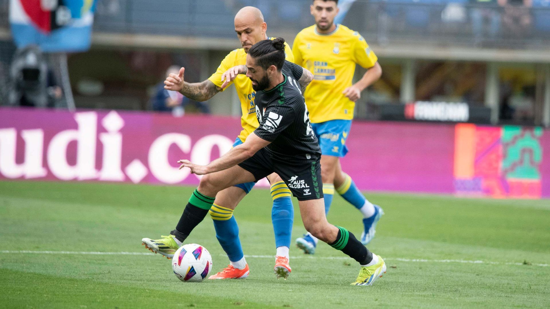 img_3785_001.jpg img_3785_001.jpg