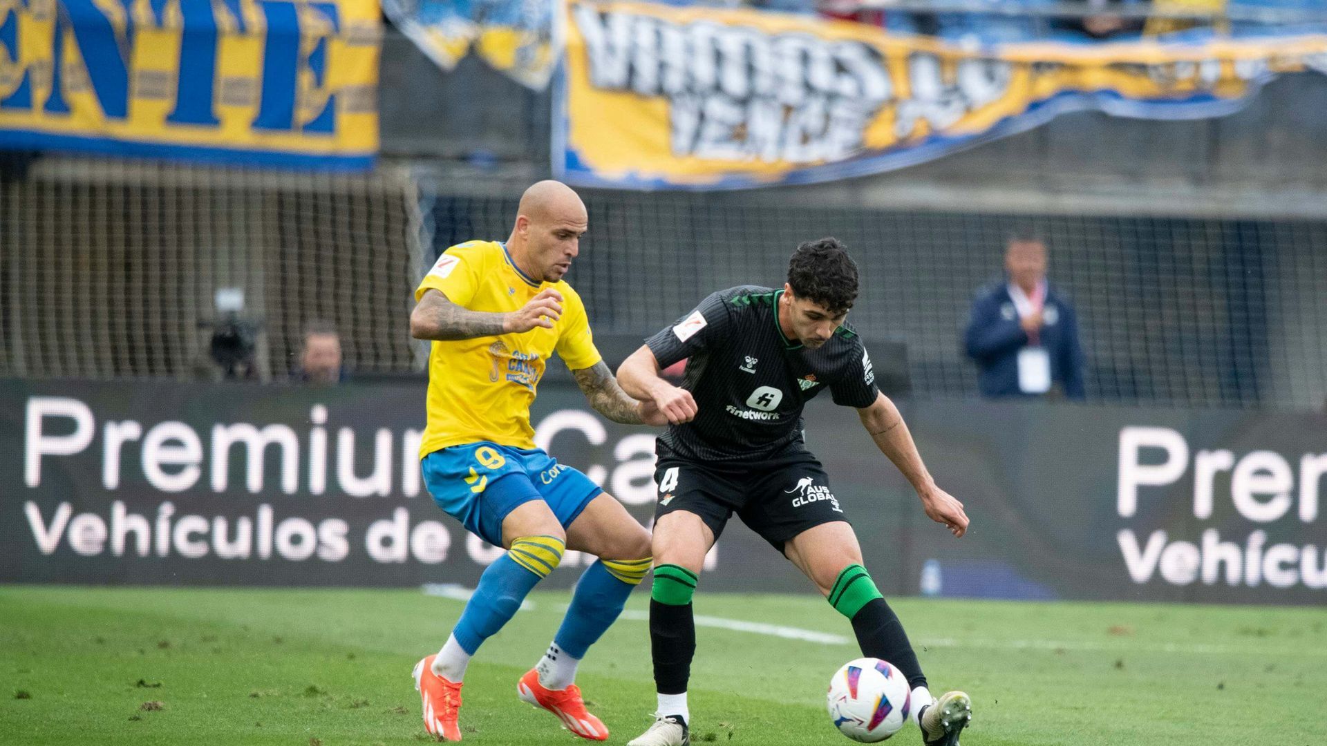 img_3800.jpg img_3800.jpg