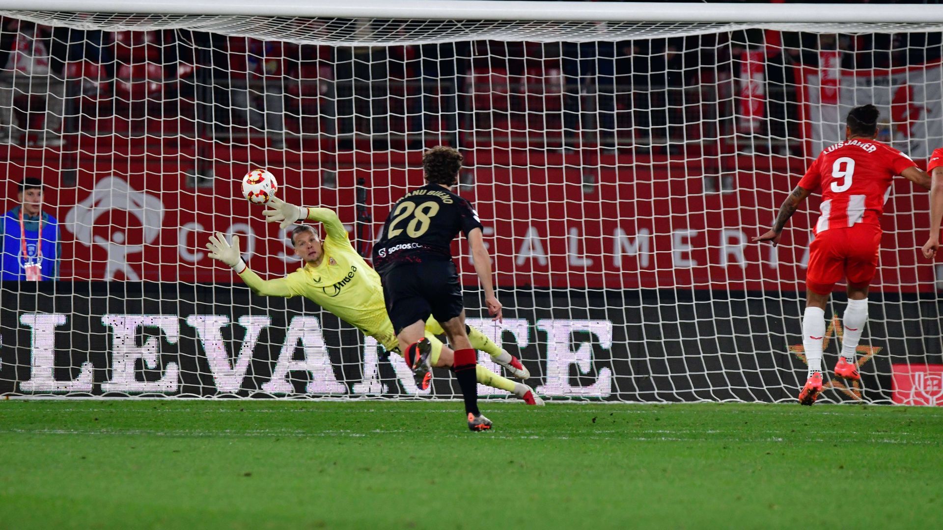 img_6565jpg_001.jpg img_6565jpg_001.jpg