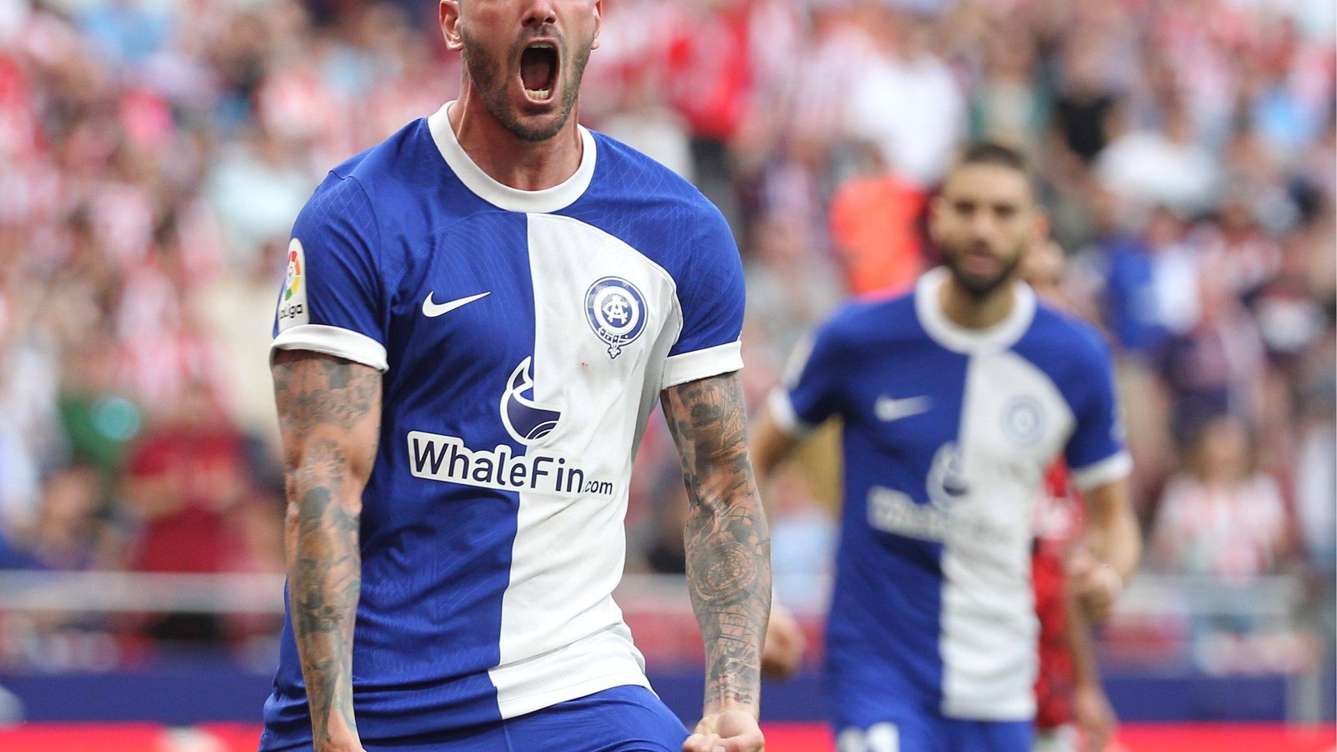 img_6646.jpg img_6646.jpg