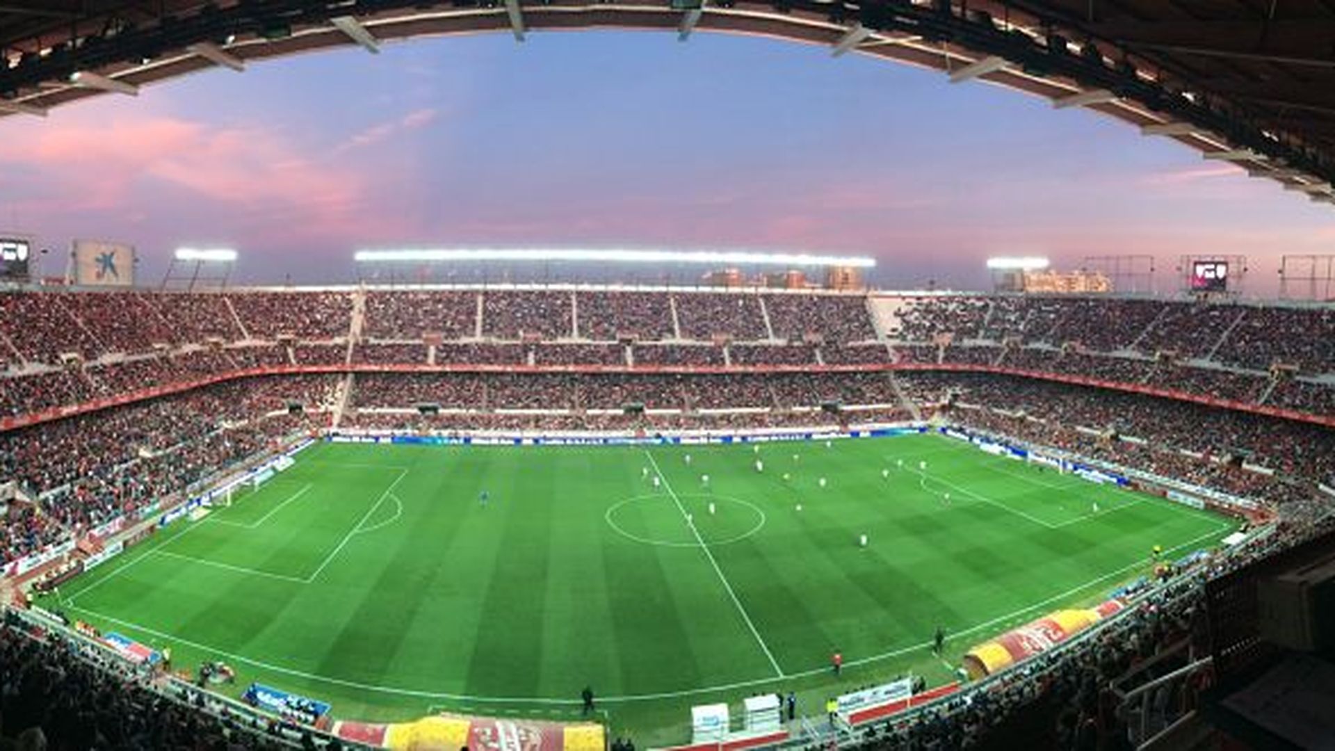 IMG_8068_opt.jpg IMG_8068_opt.jpg