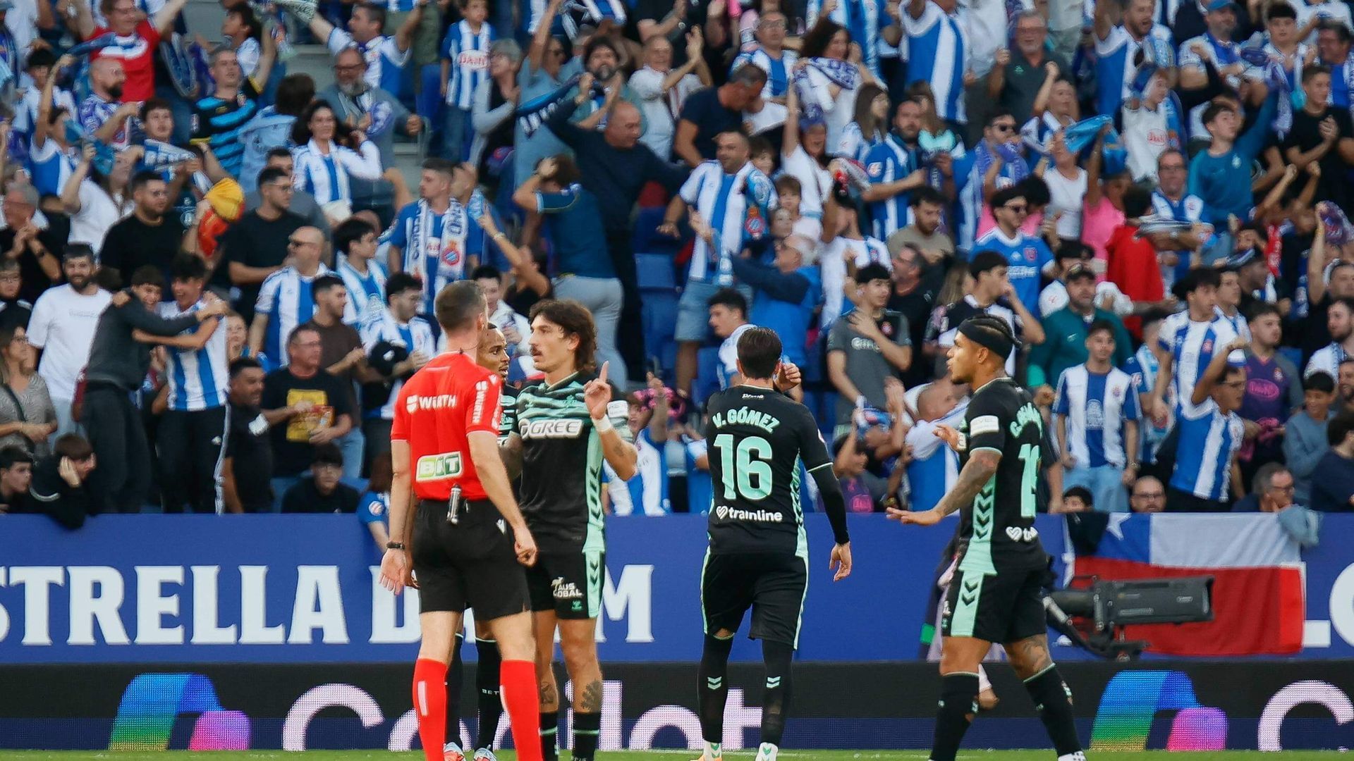 img_8372jpg.jpg img_8372jpg.jpg