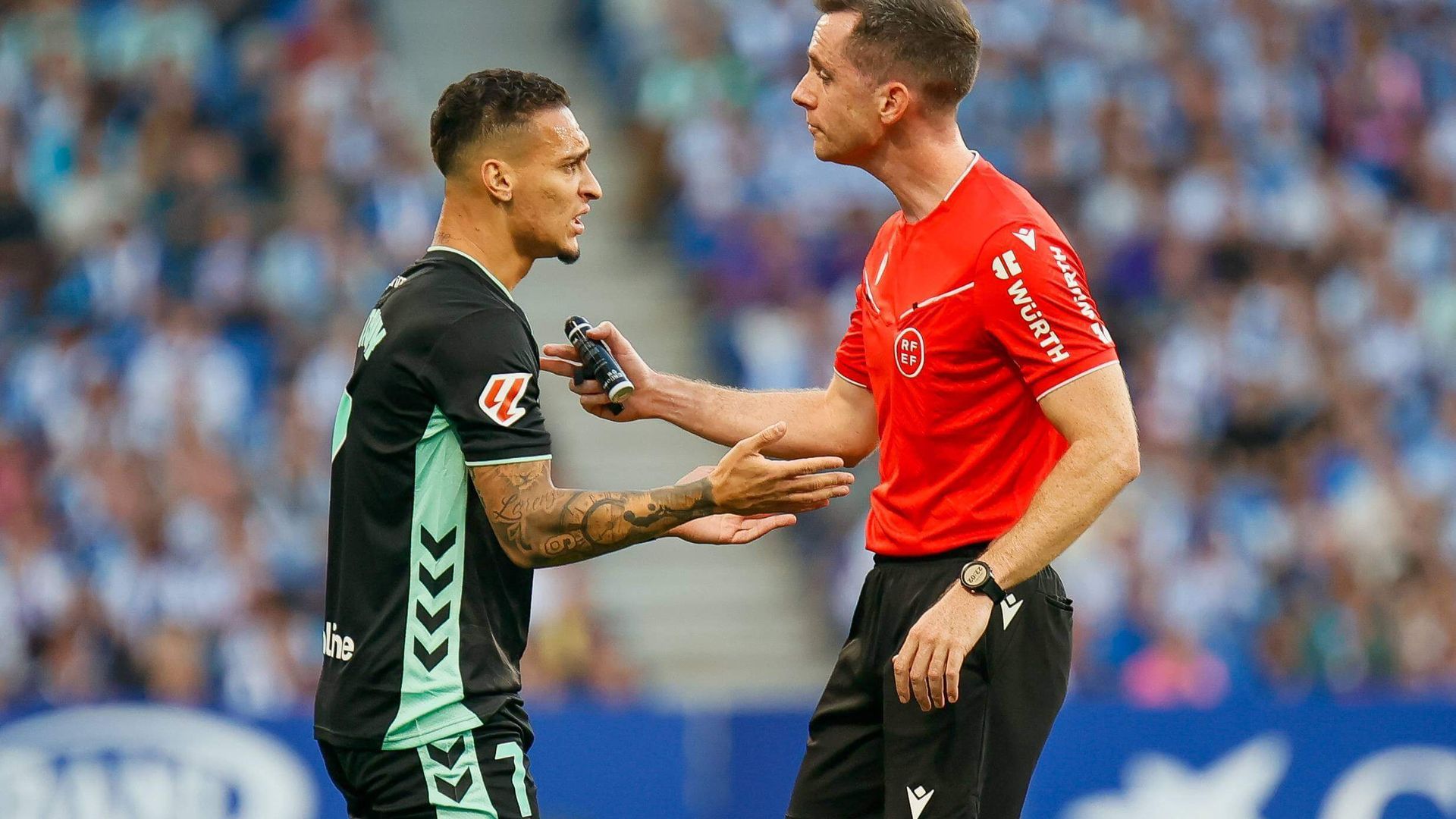 img_8380jpg.jpg img_8380jpg.jpg