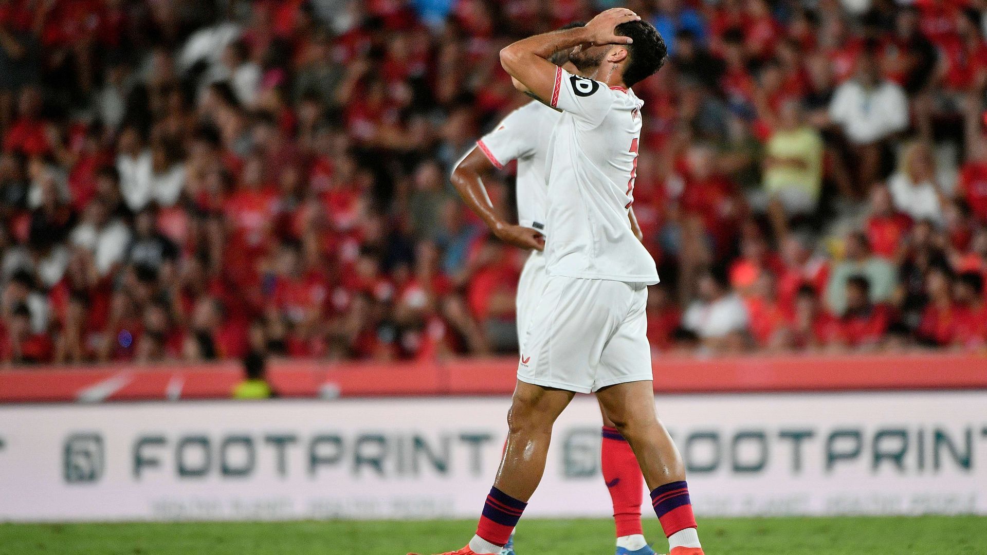 img_9702jpg.jpg img_9702jpg.jpg