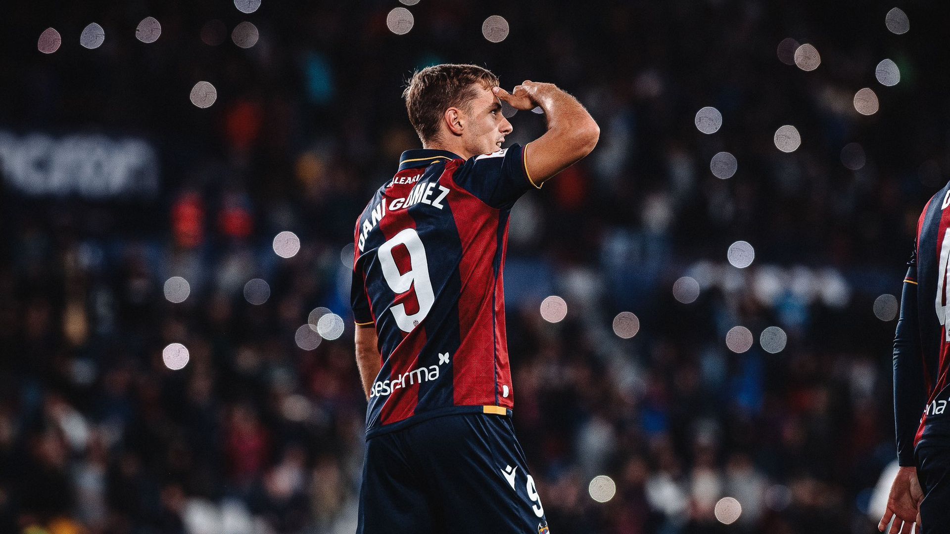 img_9943.JPG img_9943.JPG