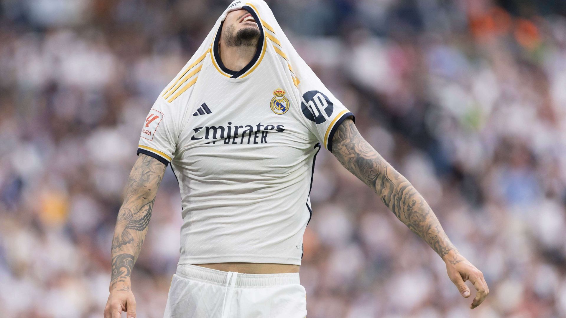 joselu.jpg joselu.jpg