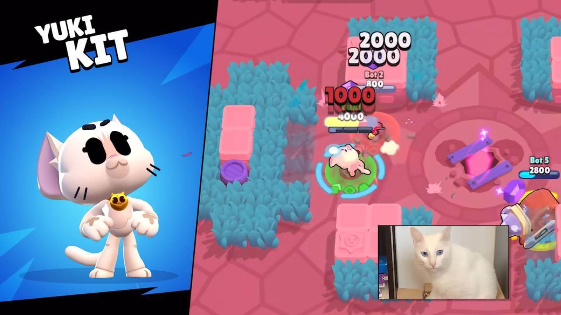 kit_yuki_skin_gratis_brawl_stars.jpg