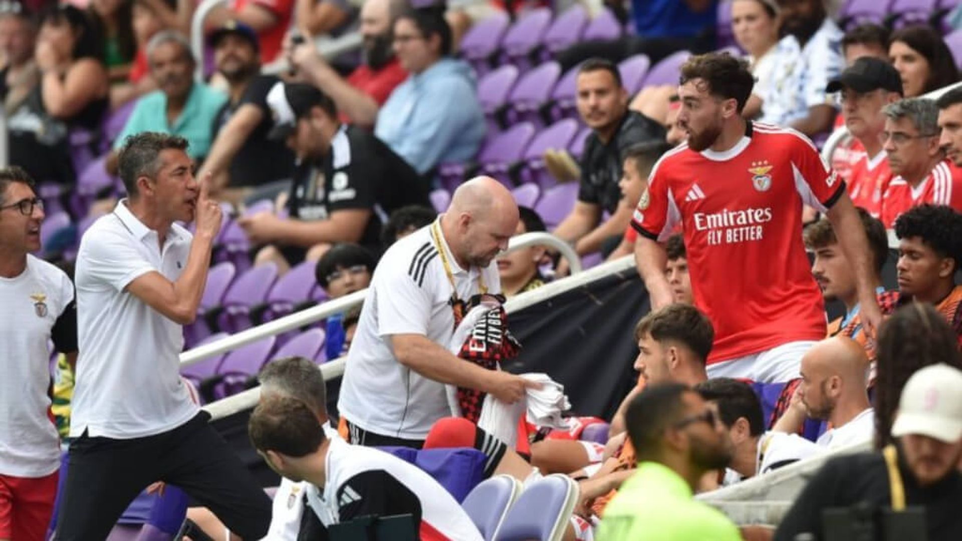 kokcu_bruno_lagejpg.jpg kokcu_bruno_lagejpg.jpg