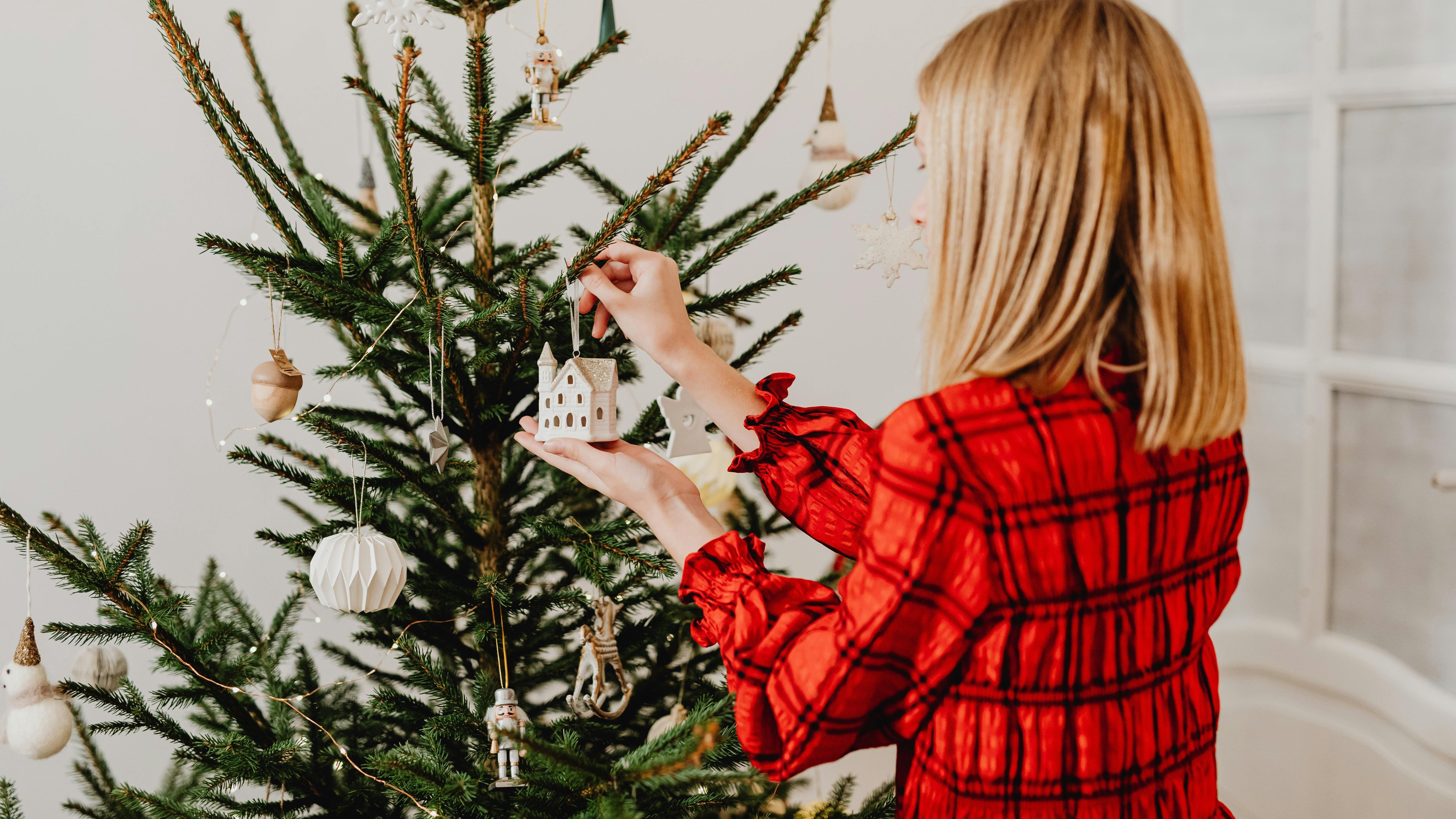 La actitud al poner el árbol es más importante que el día. FUENTE: Pexels