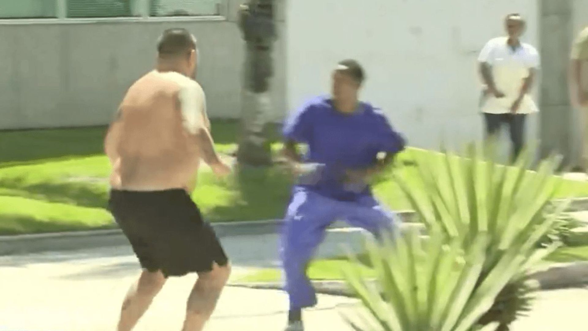 lasalviapng.png lasalviapng.png