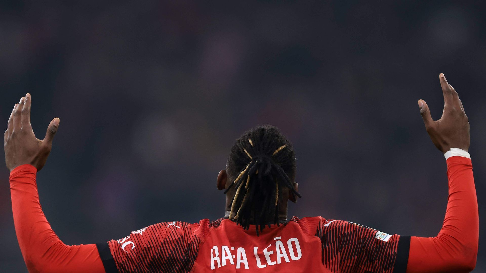 leaojpeg.jpeg leaojpeg.jpeg