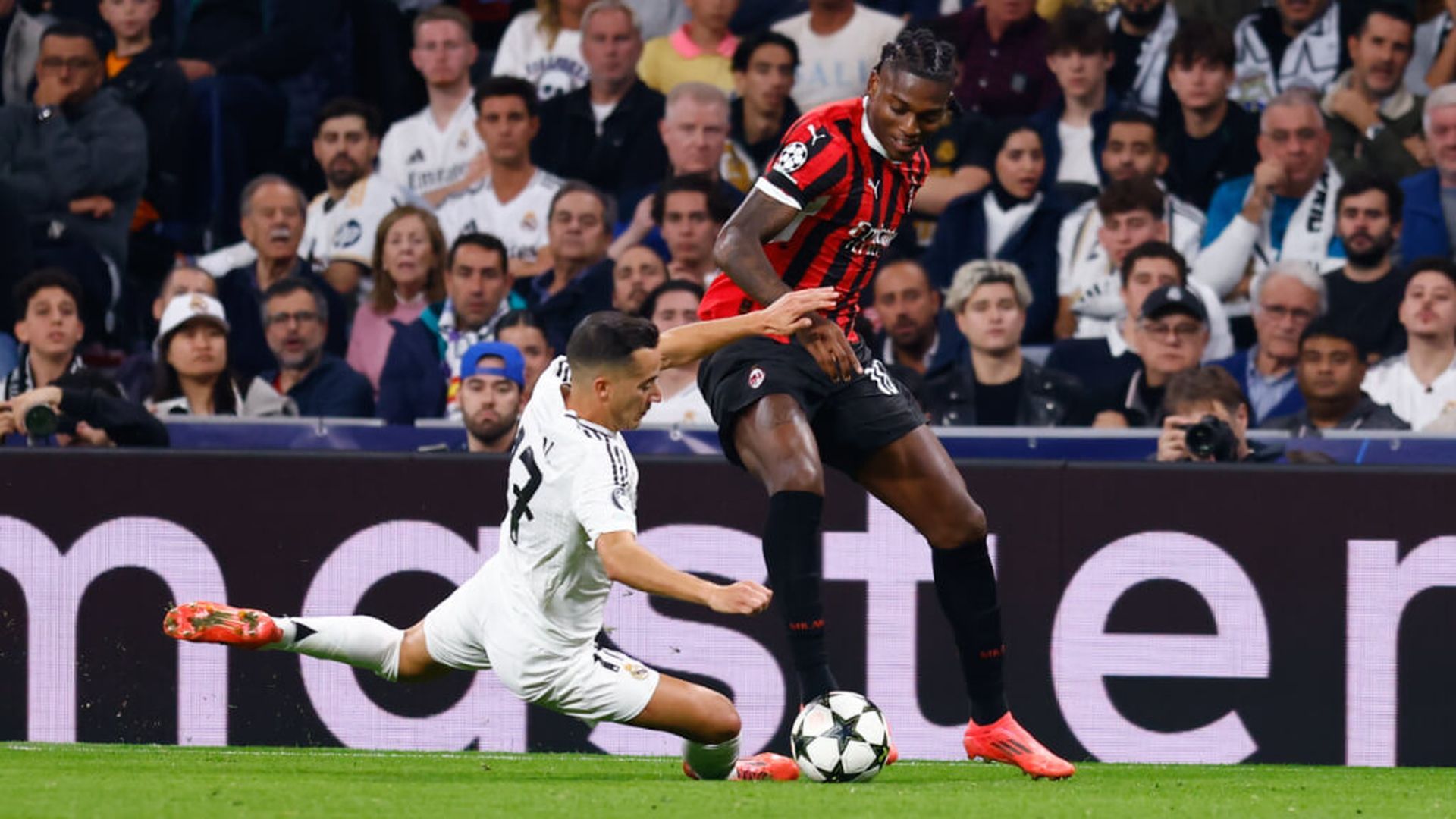 leaojpg.jpg leaojpg.jpg