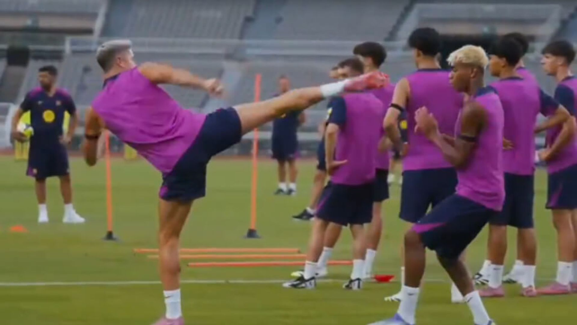 lewan_1jpg_001.jpg lewan_1jpg_001.jpg