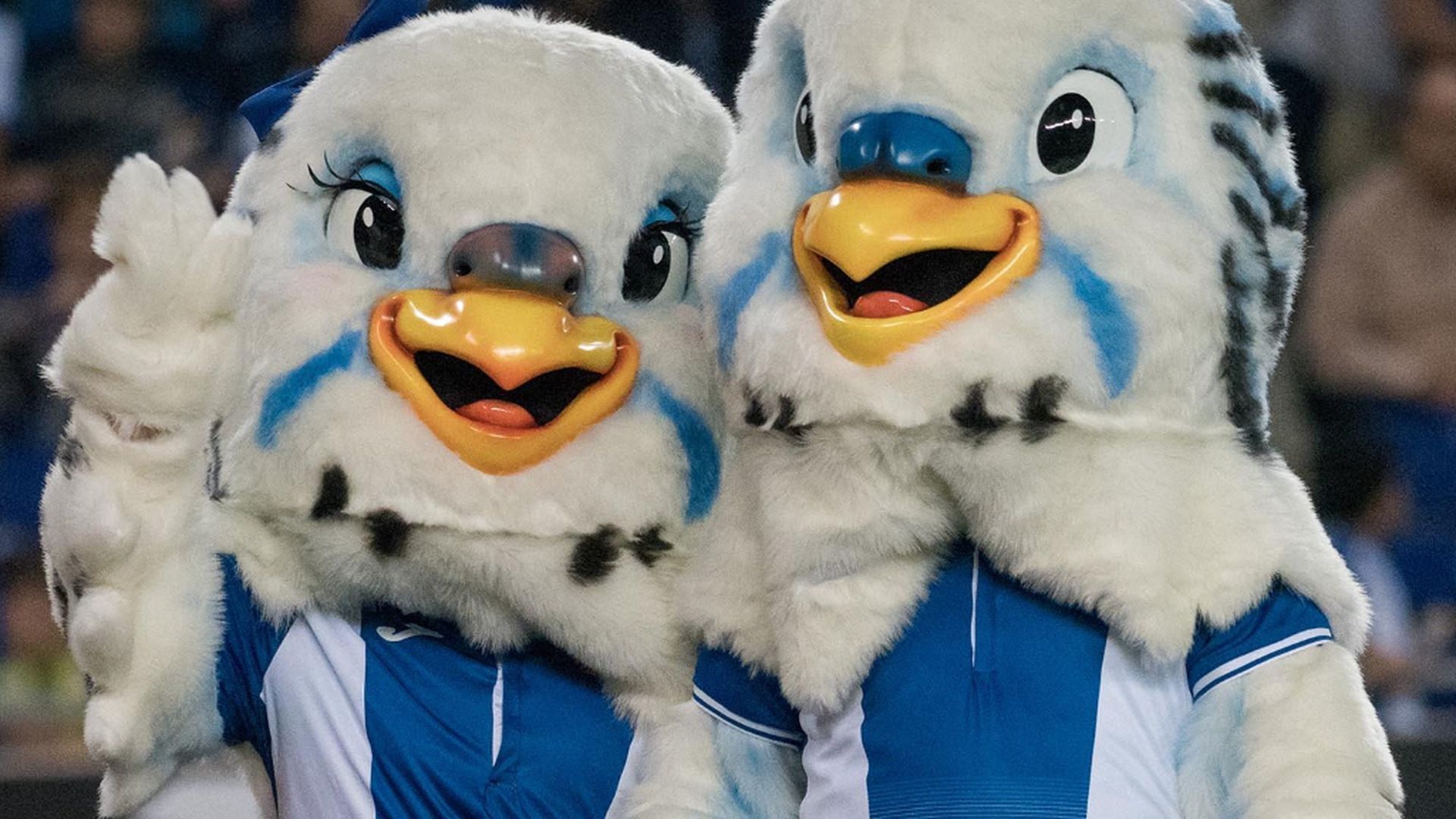 los_prjpg.jpg los_prjpg.jpg