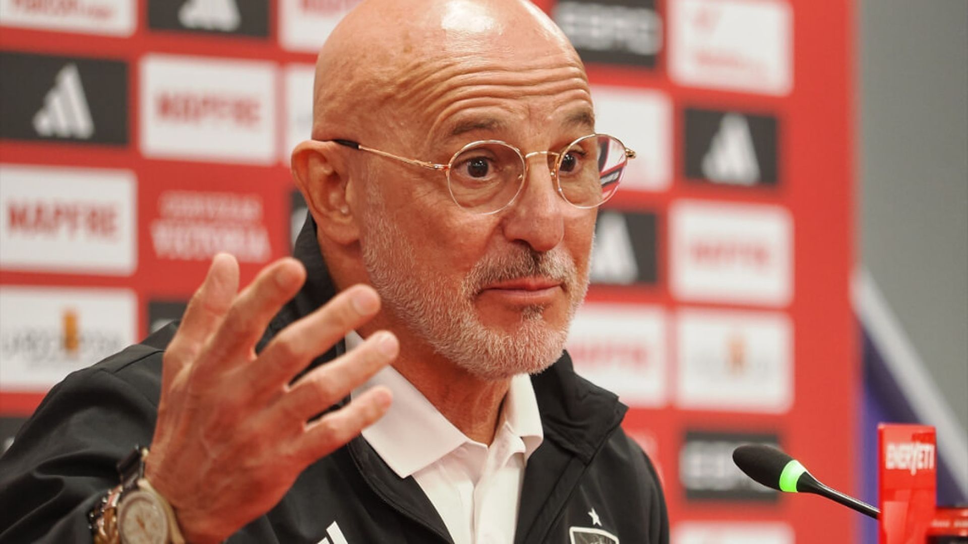 luis_de_la_fuente_en_una_rueda_de_prensa_de_la_seleccion_espanola_foto_europa_press.jpg luis_de_la_fuente_en_una_rueda_de_prensa_de_la_seleccion_espanola_foto_europa_press.jpg