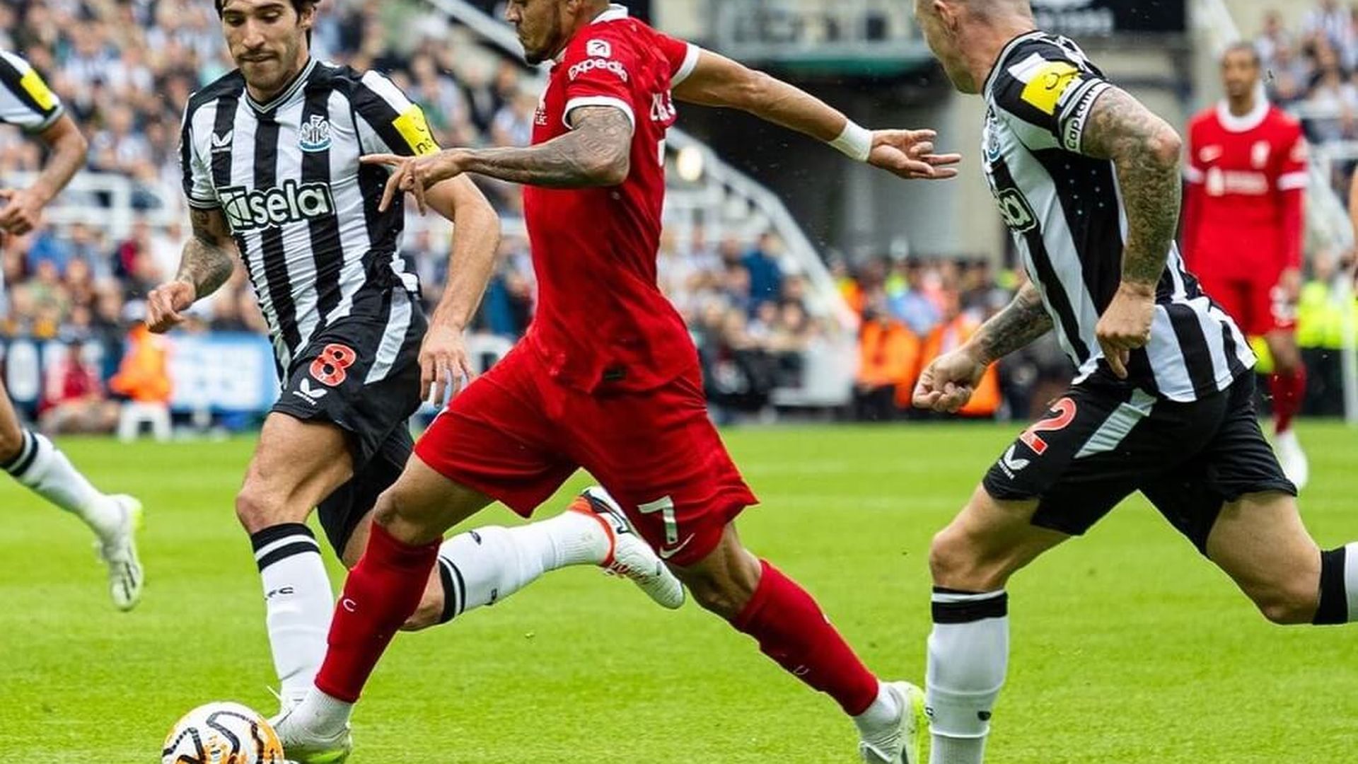 luis_diazjpg_001.jpg luis_diazjpg_001.jpg