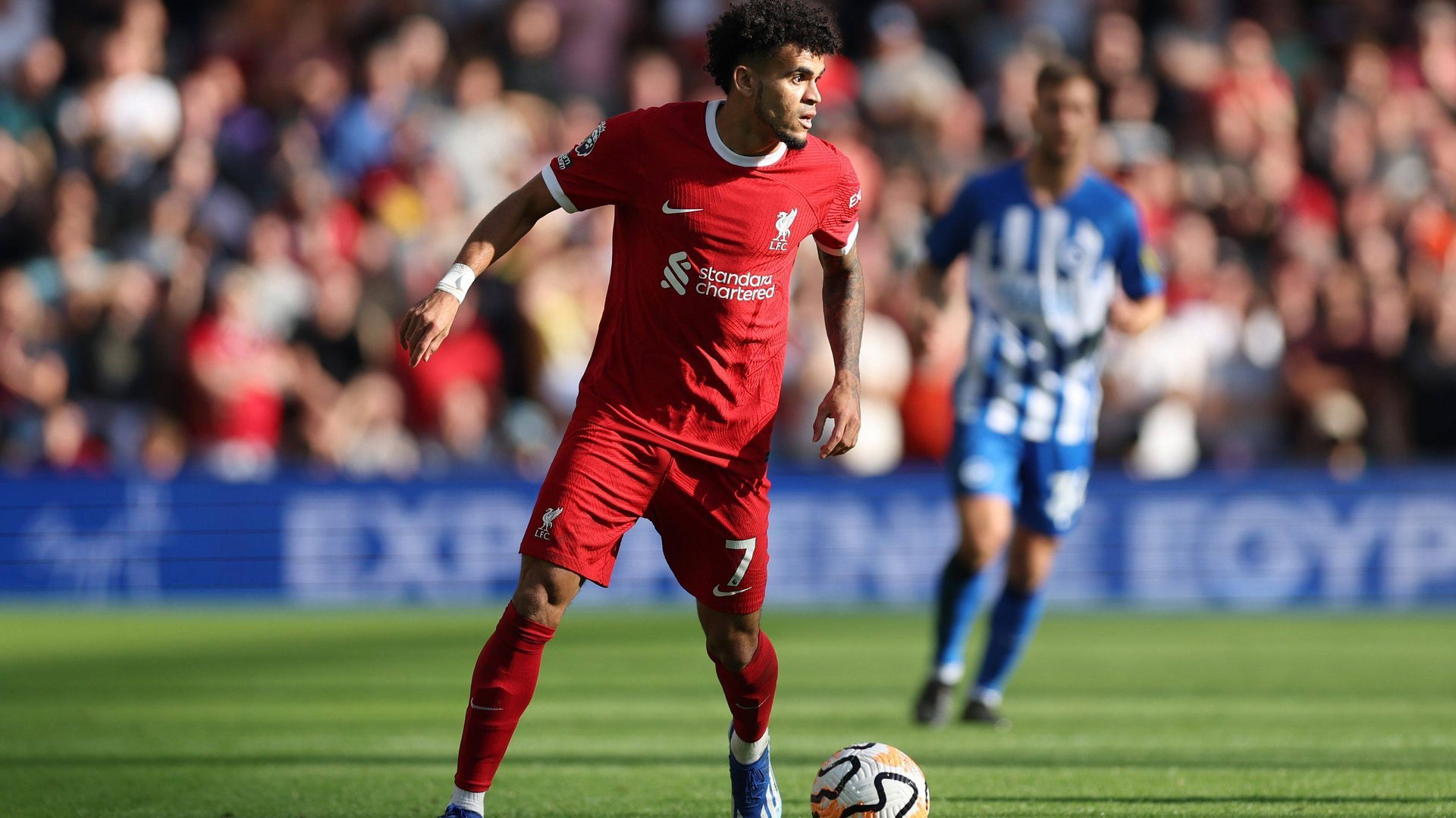 luis_diazjpg_003.jpg luis_diazjpg_003.jpg