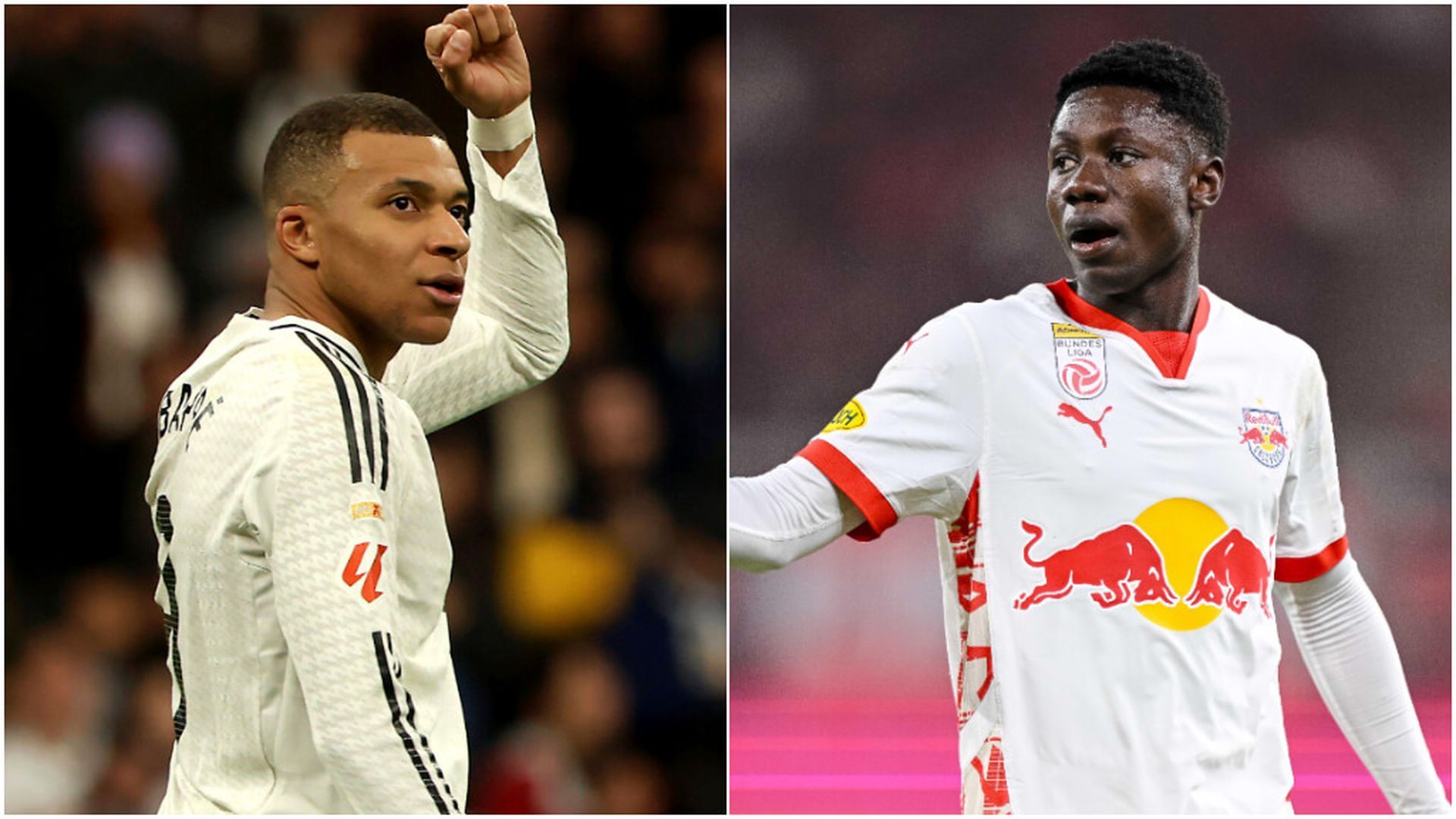 mad_salzjpg.jpg mad_salzjpg.jpg