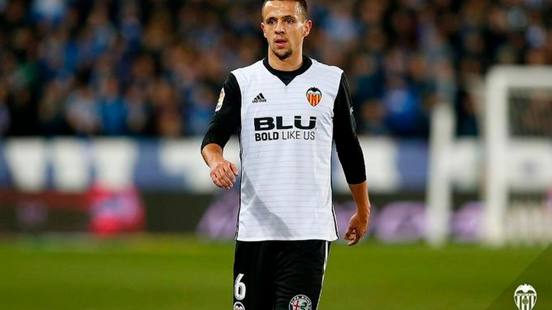 maksimoalavcf12jpg_001.jpg maksimoalavcf12jpg_001.jpg