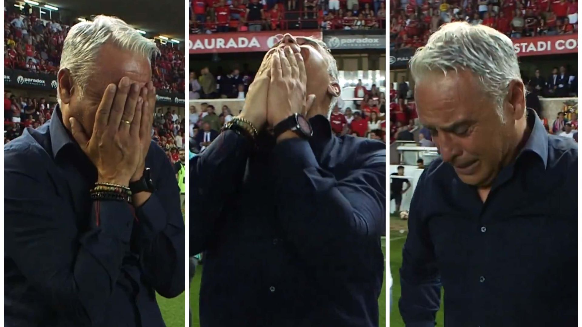 malaga_sergio_pellicer_ascensojpg_001.jpg malaga_sergio_pellicer_ascensojpg_001.jpg