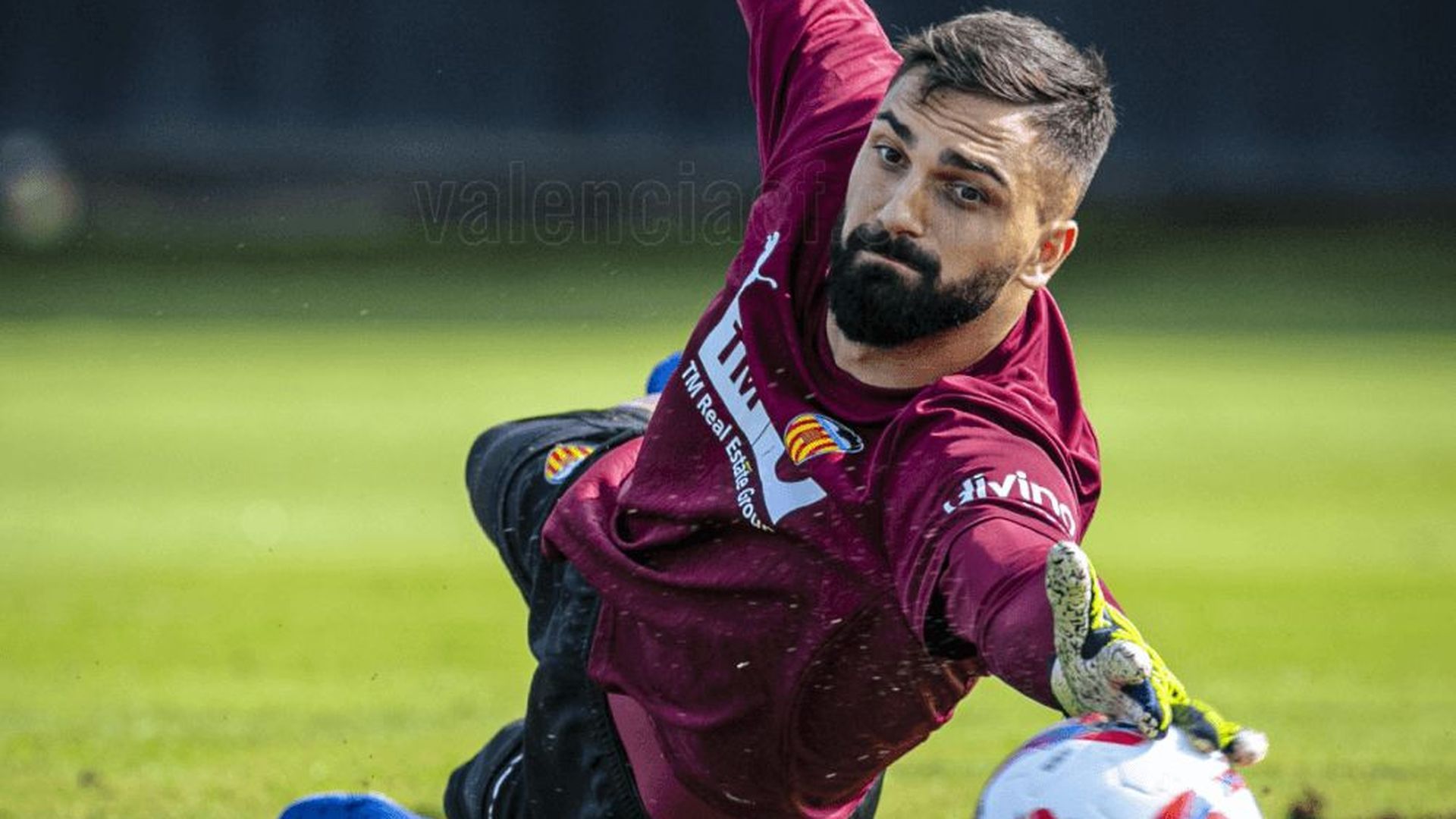 mamardashvili_001.png mamardashvili_001.png