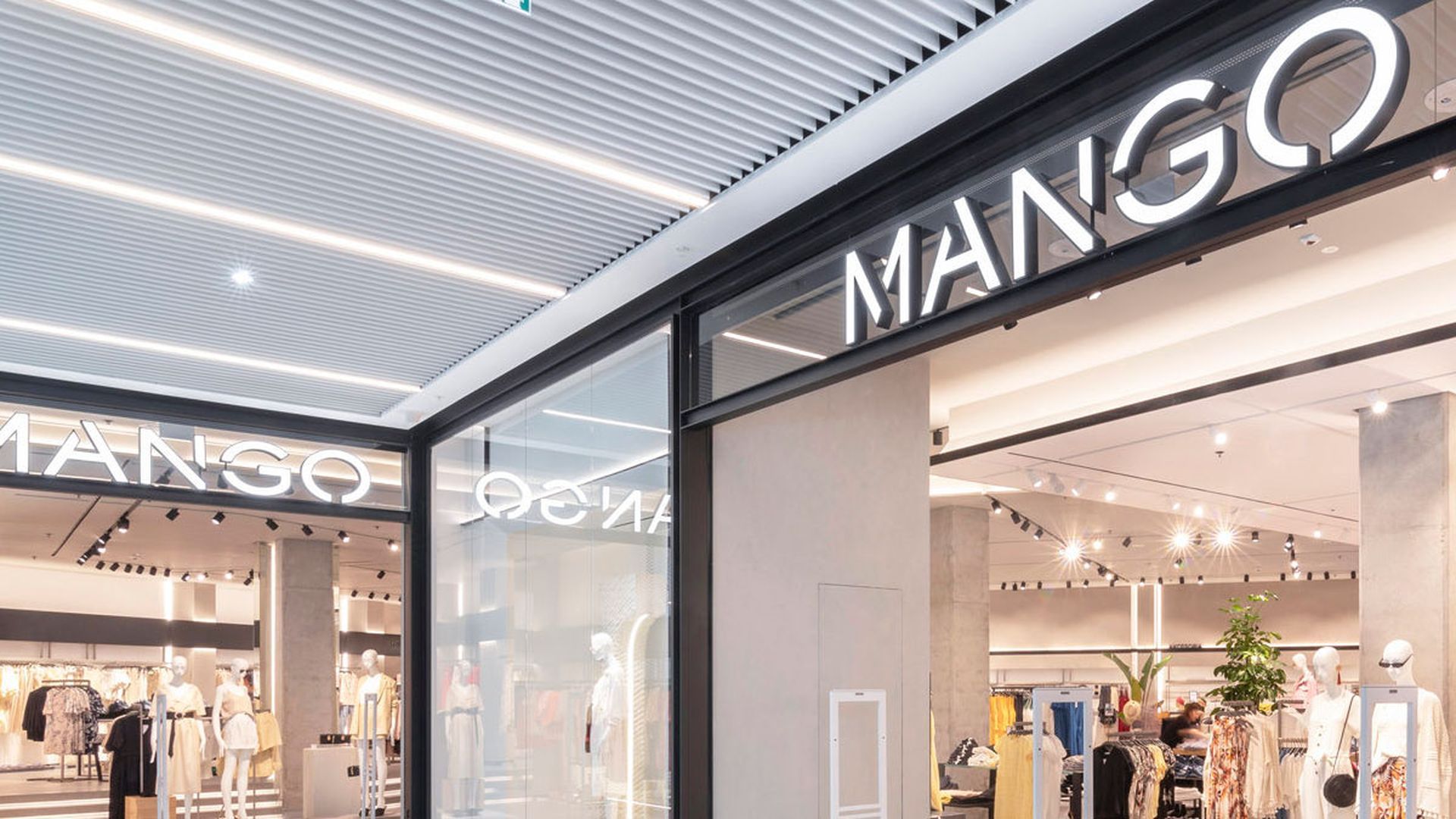 mango_1jpg.jpg mango_1jpg.jpg