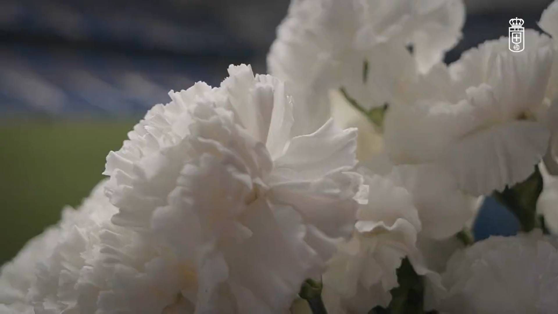 marcelo_flores_nuevo_jugador_del_real_oviedo_001.jpg marcelo_flores_nuevo_jugador_del_real_oviedo_001.jpg