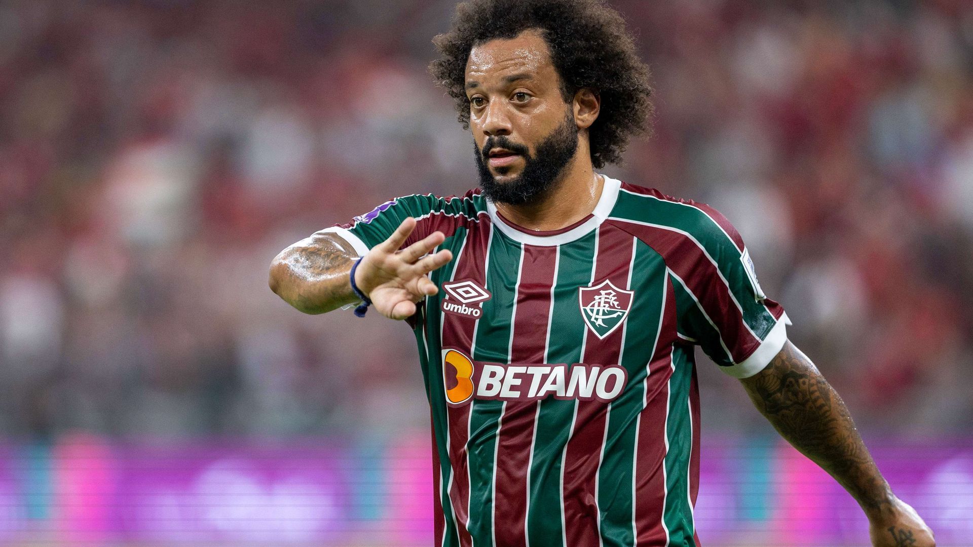 marcelo_vieira_001.jpg marcelo_vieira_001.jpg