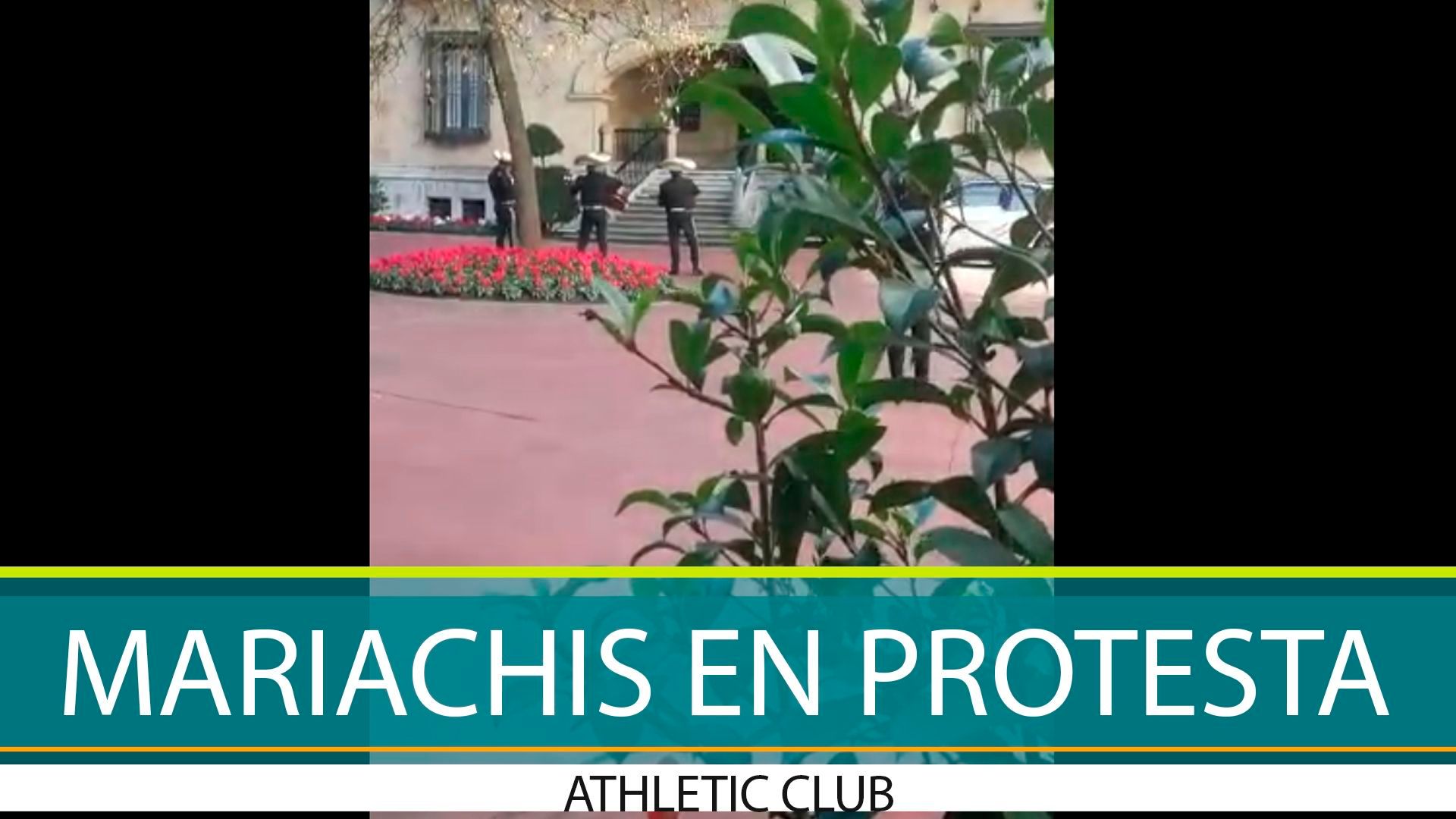 mariachis.jpg mariachis.jpg