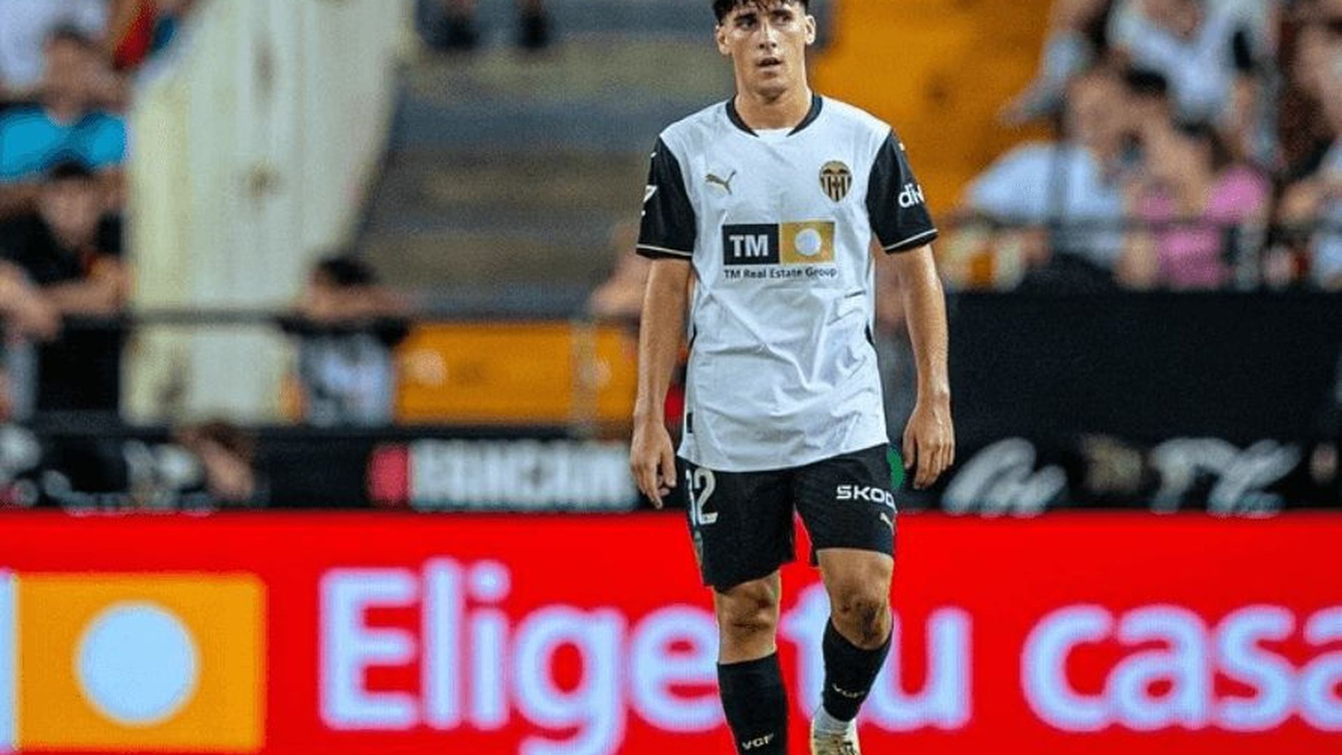 martin_tejon_002.png martin_tejon_002.png