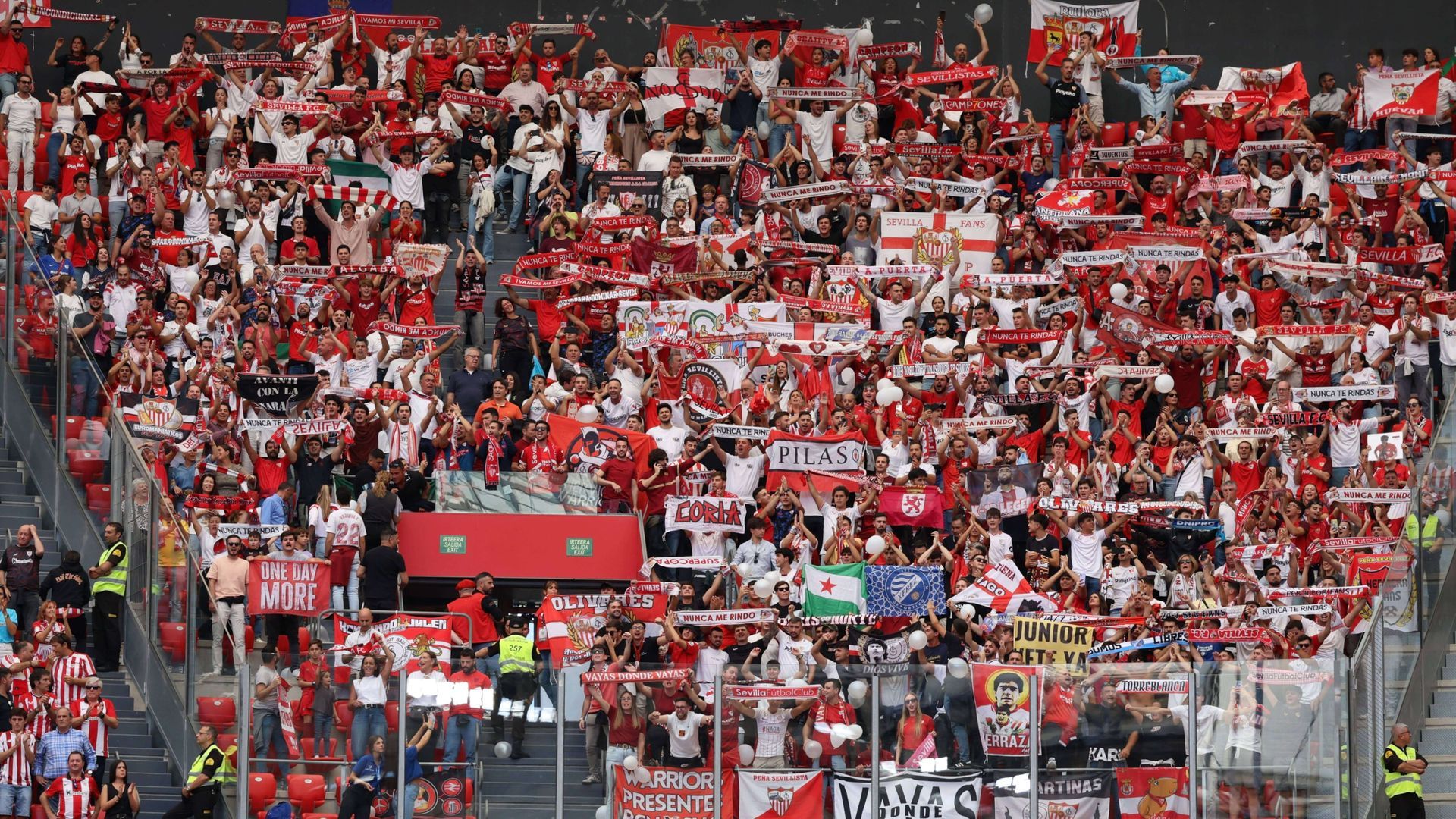 mcal0594.jpg mcal0594.jpg