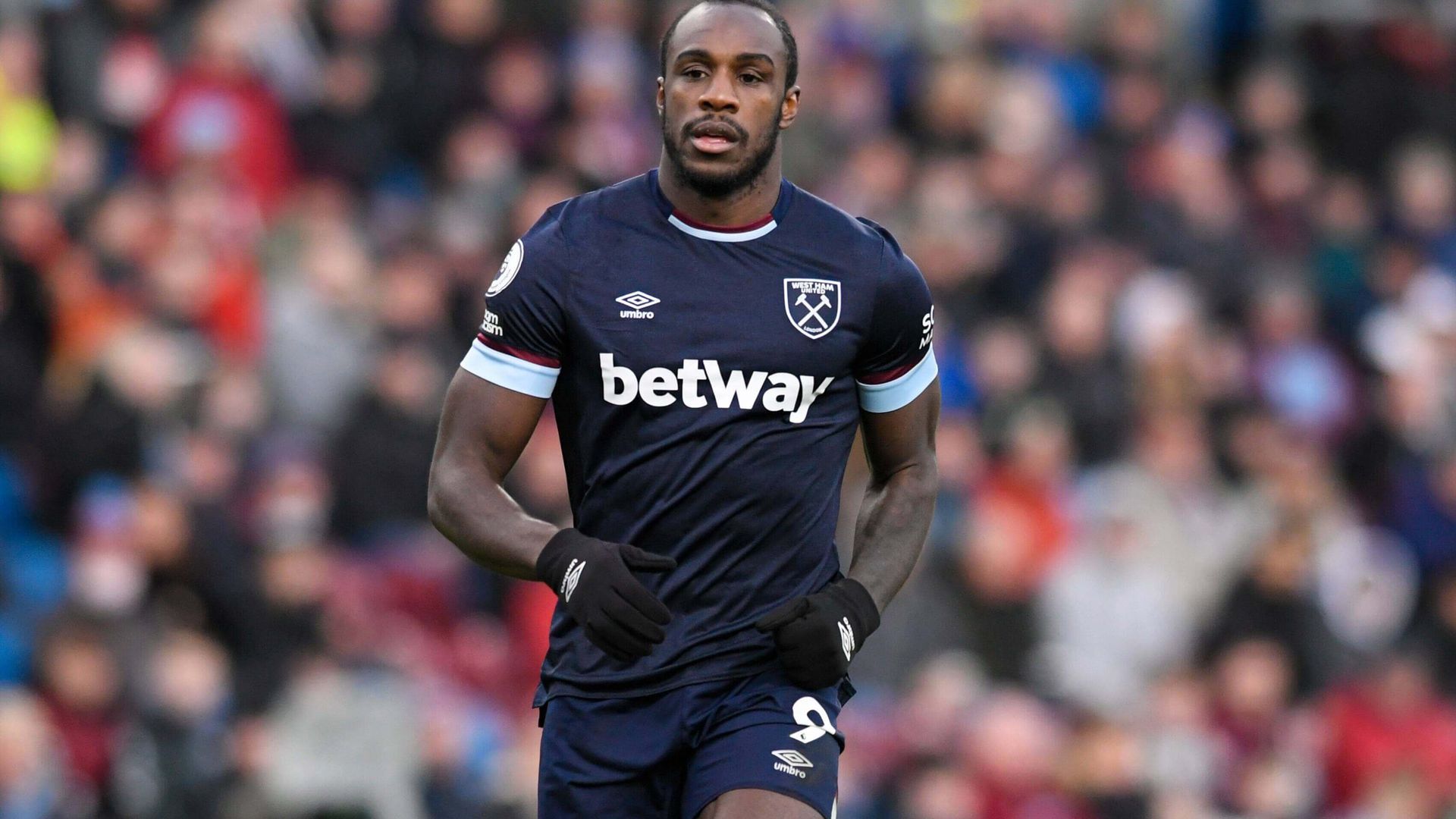 michail_antonio_001.jpg michail_antonio_001.jpg