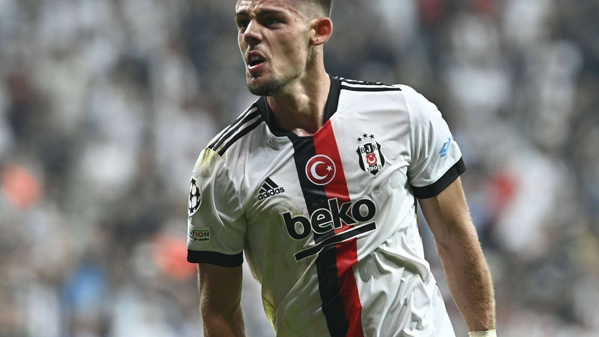 montero.jpg montero.jpg