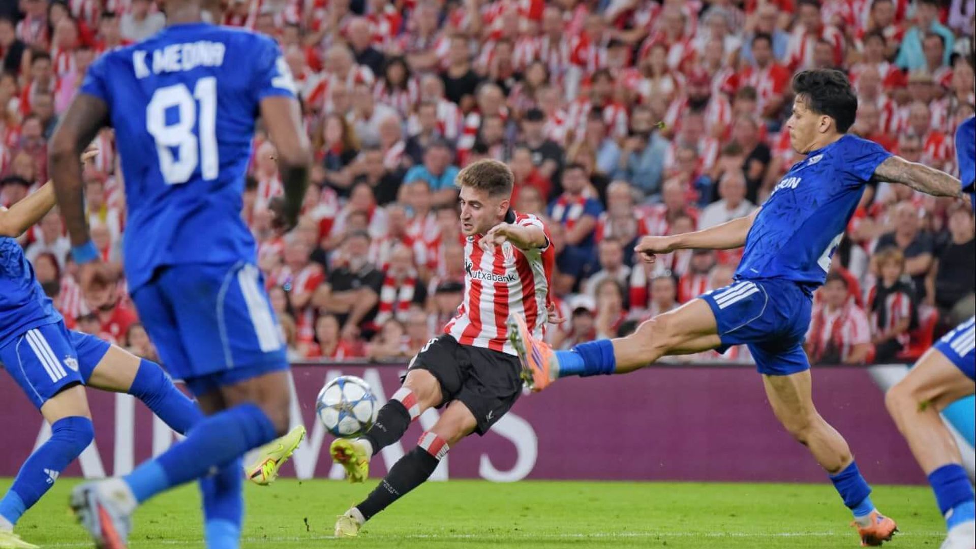 navarrojpeg.jpeg navarrojpeg.jpeg