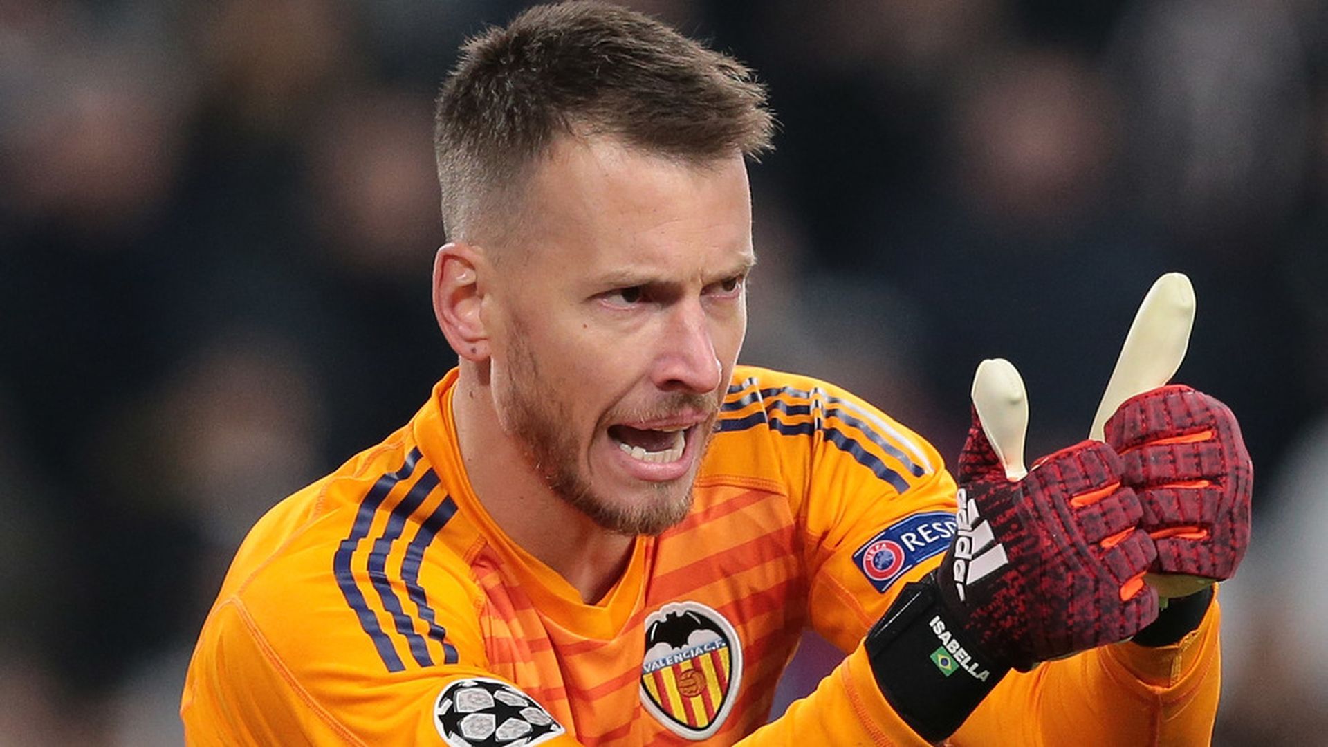 neto22.jpg neto22.jpg