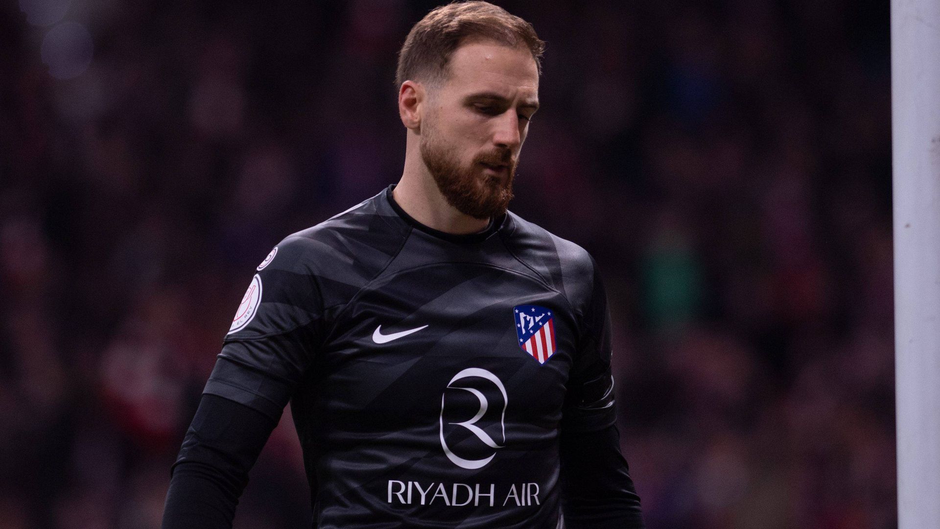 _op11239.jpg _op11239.jpg