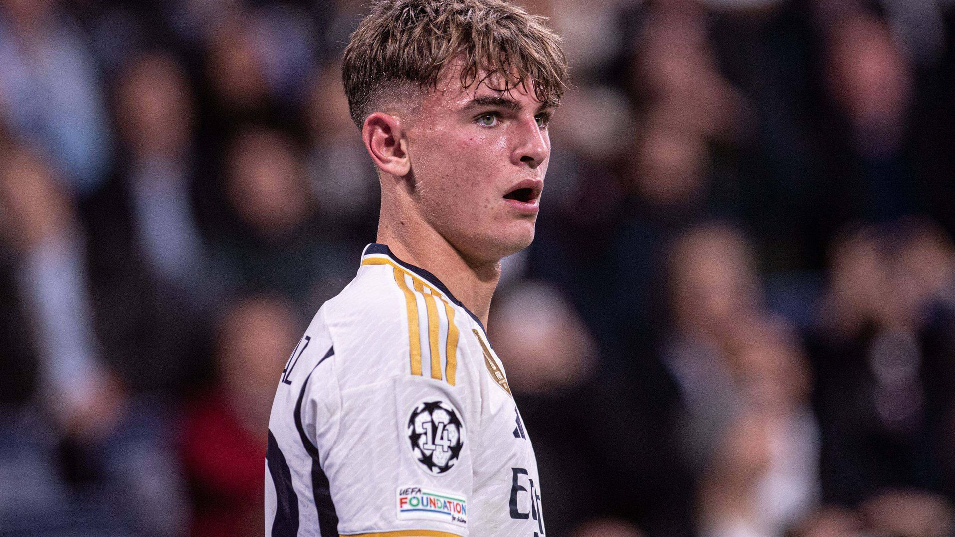 _op17973jpg.jpg _op17973jpg.jpg