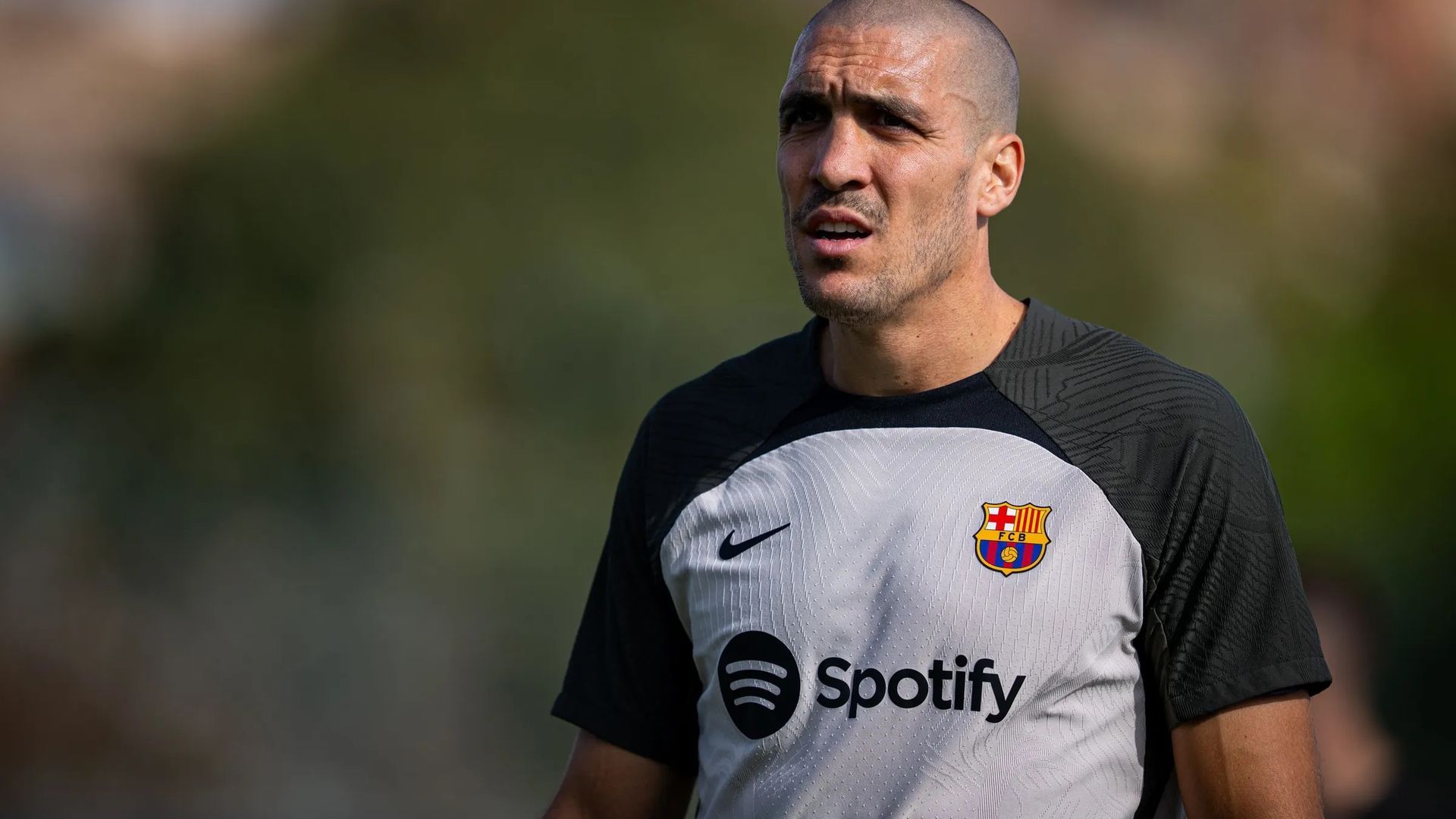 oriol2.jpg oriol2.jpg