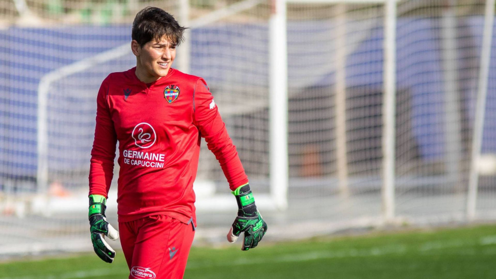 paralutajpg.jpg paralutajpg.jpg