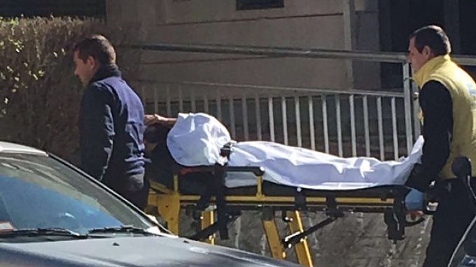 pelea1_opt.jpg pelea1_opt.jpg